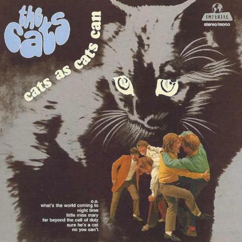 The Cats